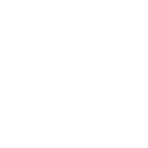 Block Parties Icon