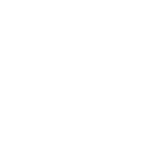 Birthday Parties Icon